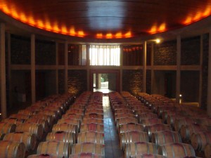 Matetic Vineyards, one of the Wine & Spirits Top 100