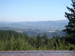 The view from CADE, up on Howell Mountain