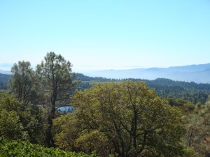 View from Howell Mountain