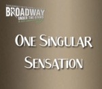 Broadway Under the Stars One Singular Sensation
