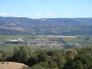 Upper Napa Valley