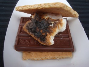 S'Mores you can make at 2015 Wine and Food Affair
