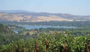 Clear Lake in Lake County with Vineyards