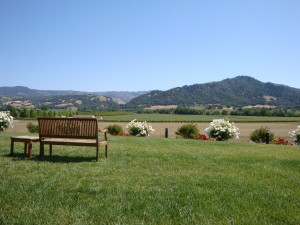 View from Stonestreet Winery in Alexander Valley