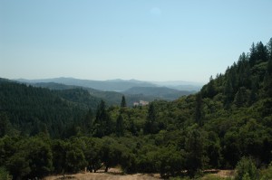 View From Howell Mountain