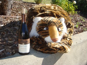 The Greeter at Robert Young at 2012 A Wine and Food Affair