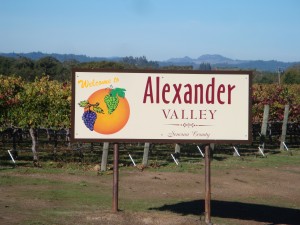 Alexander Valley, part of the 2013 Winter WINEland