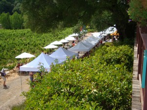2012 Yorkville Highlands Wine Festival 