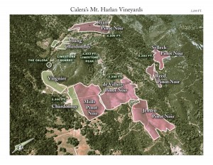 Calera's Mt. Harlan Vineyards