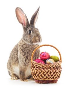 Easter basket and bunny