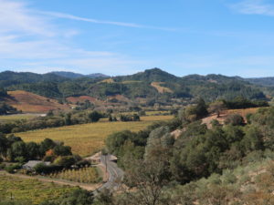 View From Trattore Farms, a 2019 Winter WINEland participant